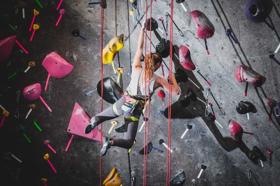 Olympic climbing events - lead, bouldering, and speed climbing. TRUBLUE is the official auto belay of Team USA.