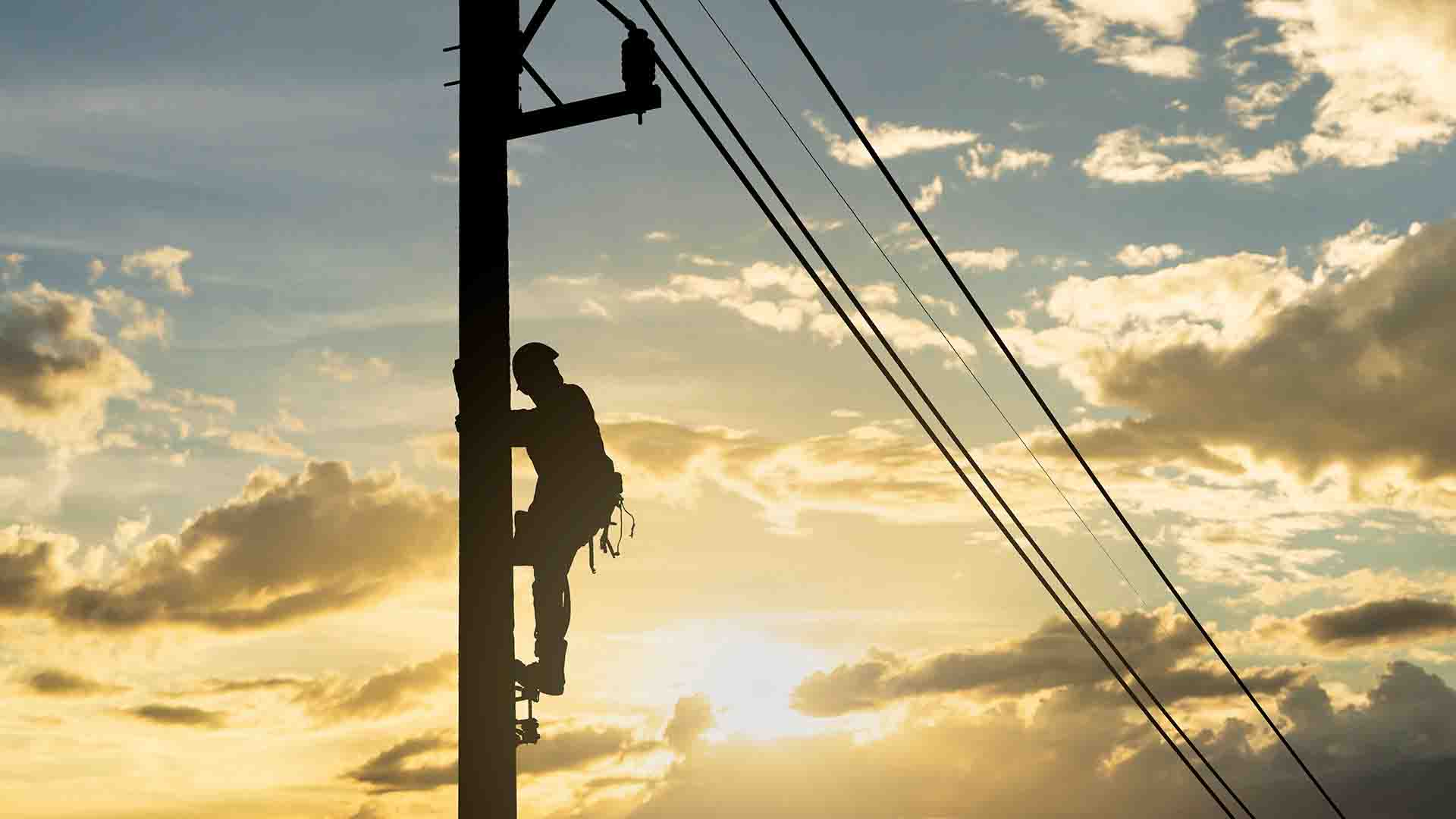 Training Linemen How to Safely Climb and Self-Arrest with TRUBLUE Auto Belays