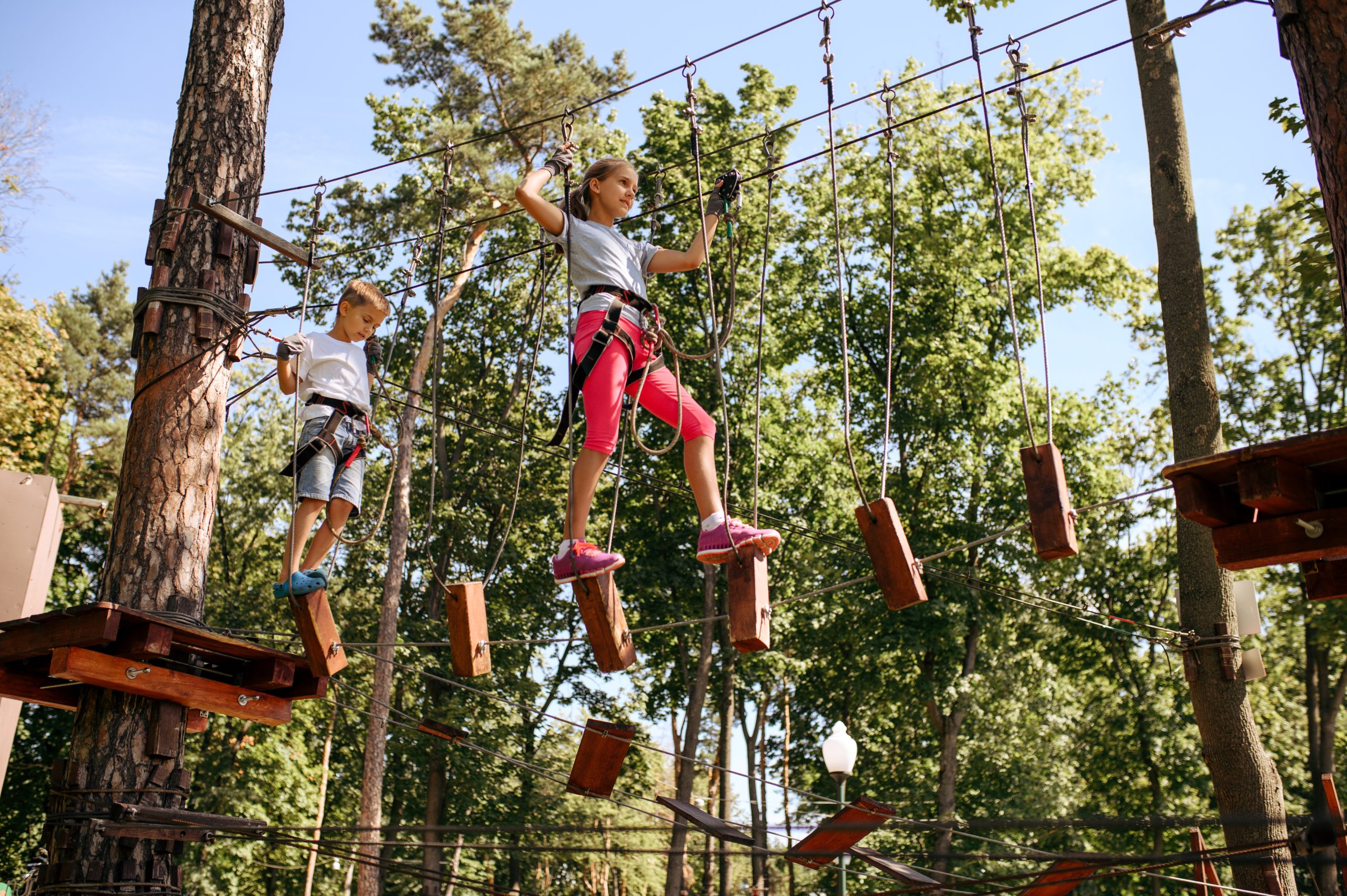 15 Thrilling Summer Camp Ideas