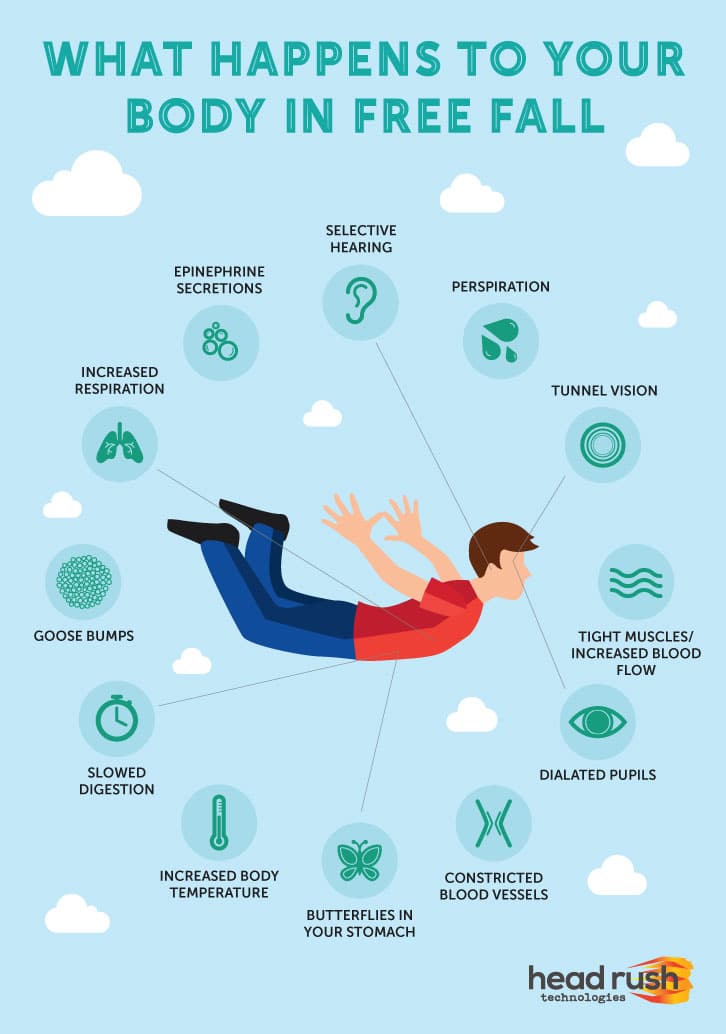 infographif of effects of adrenaline