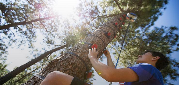 child climbing on tree climbing holds