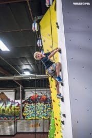 TRUBLUE Auto Belay at Fun Climb